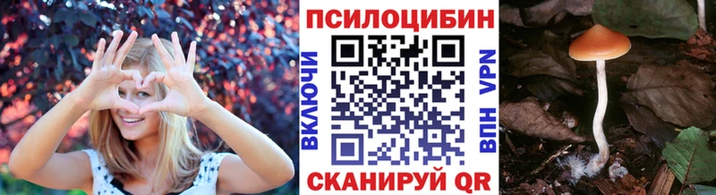 цена   Печоры  kraken tor  Псилоцибиновые грибы Psilocybine cubensis 
